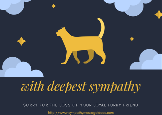 How to give sympathy for the loss of a pet