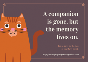 Cat Loss Message