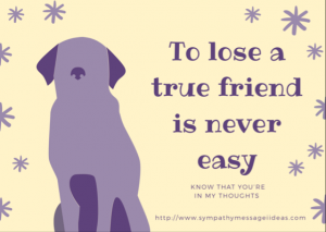 Dog Pet Loss Message