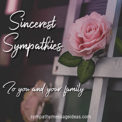 Sincerest Sympathy Image