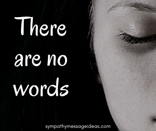 There are No Words Grief Quote