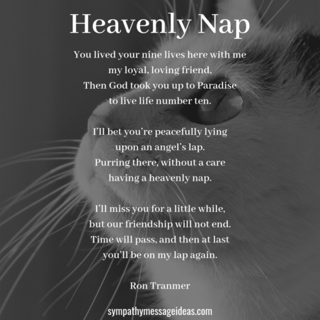 Cat loss poem