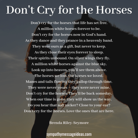 Horse loss poem