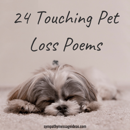 Pet loss poems