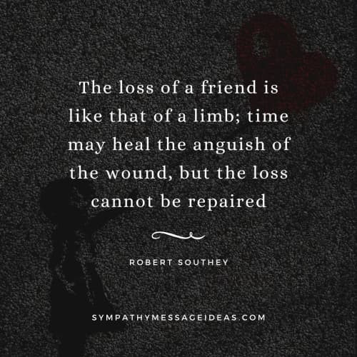 Losing A Friend Quotes