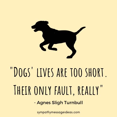 dogs loss quote dogs lives are too short