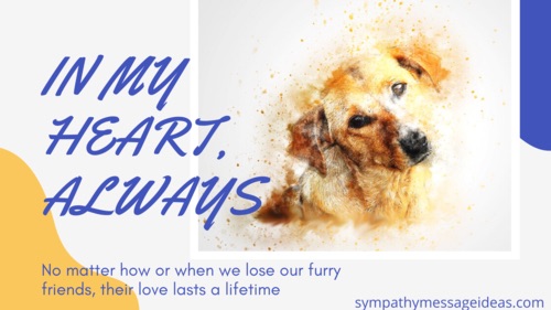 57 Heartbreaking Loss Of Dog Quotes Images Comforting Ways To Remember Your Pal Sympathy Card Messages