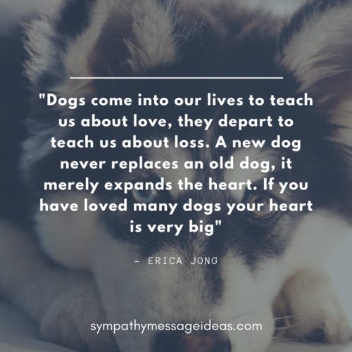 57 Loss of Dog Quotes & Images: Comforting Ways to Remember your Pal - Sympathy Message Ideas 57 Loss of Dog Quotes & Images: Comforting Ways to Remember your Pal - Sympathy Message Ideas