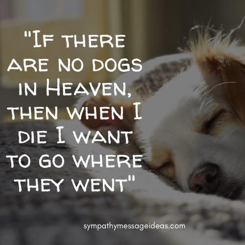 57 Heartbreaking Loss Of Dog Quotes Images Comforting Ways To Remember Your Pal Sympathy Card Messages