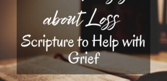 Bible verses about loss