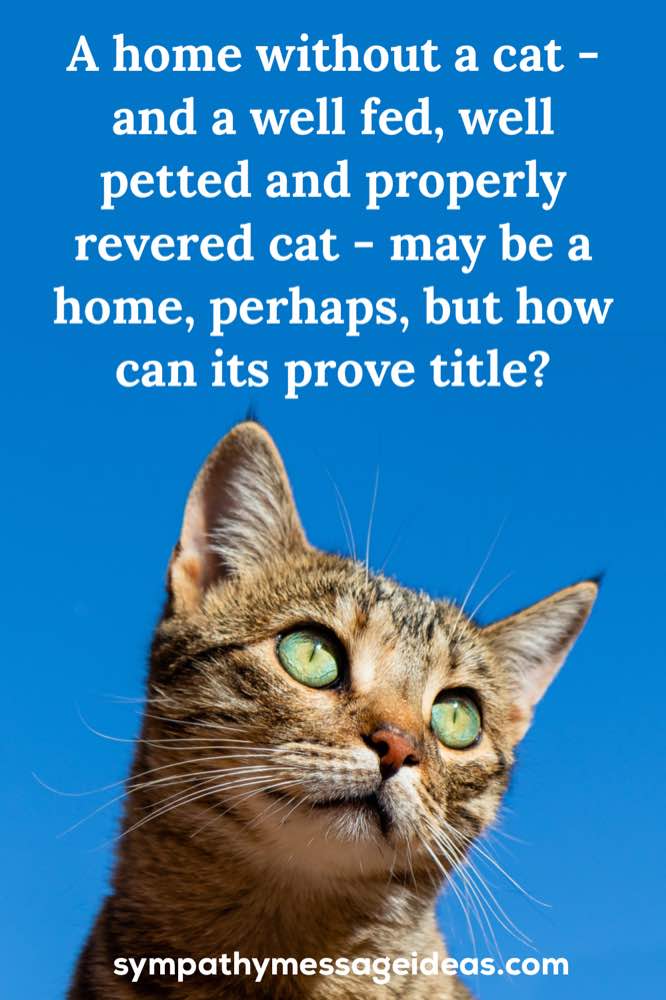 A home without a cat quote
