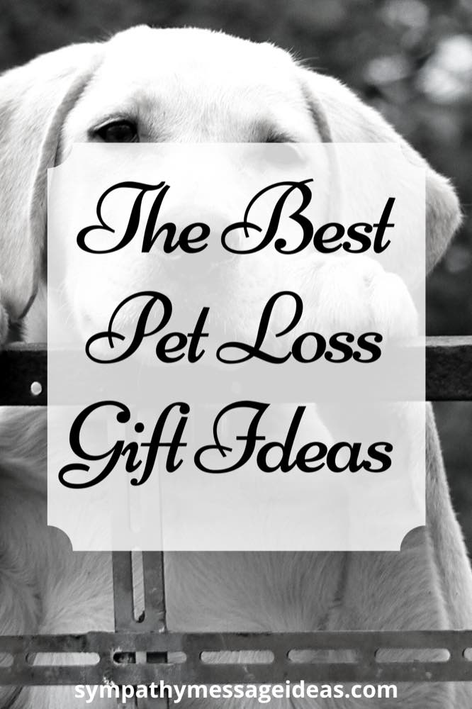 pet loss gift ideas