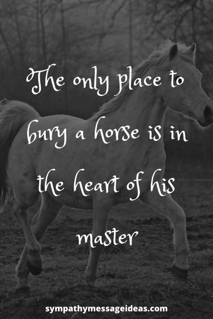 39 Moving Loss of Horse Quotes Sympathy Message Ideas