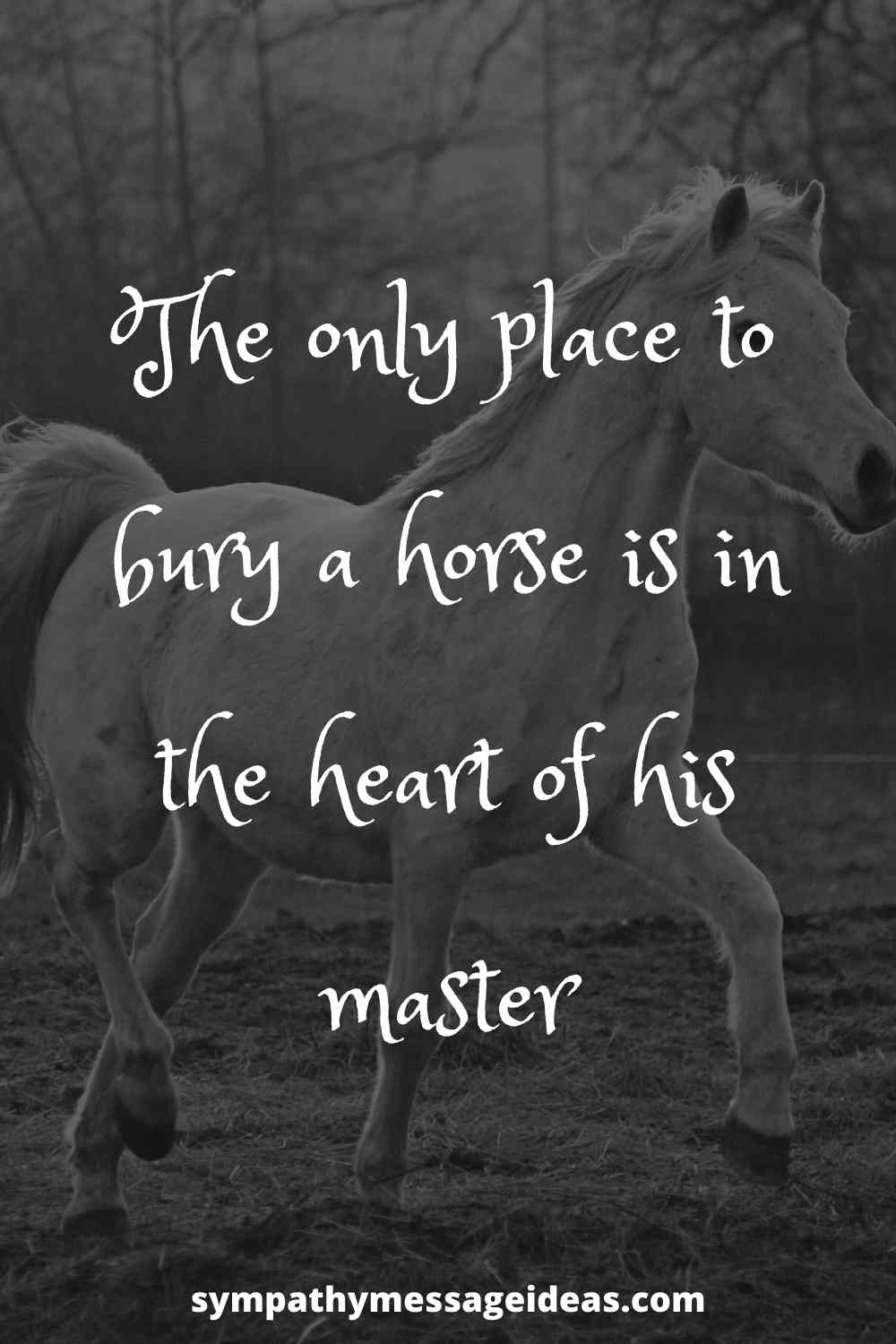 heart of his master horse quote