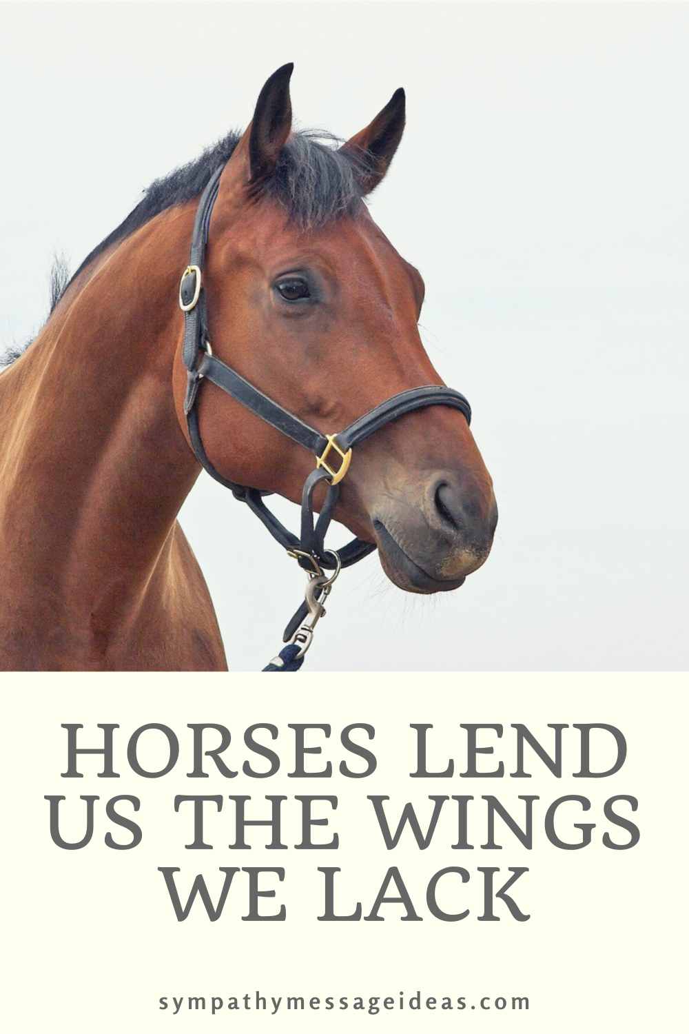 horses lend us wings quote