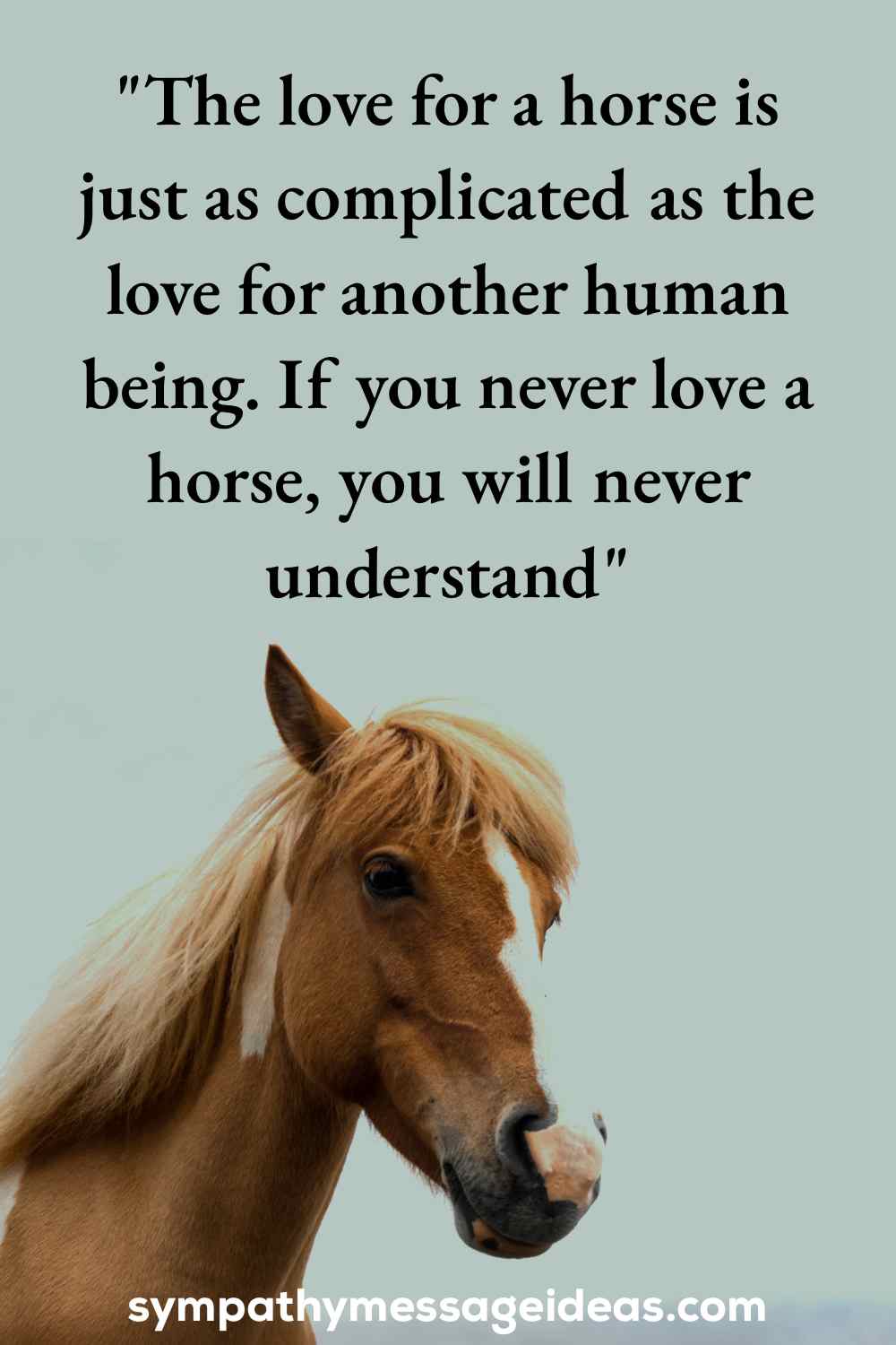 loved a horse loss quote