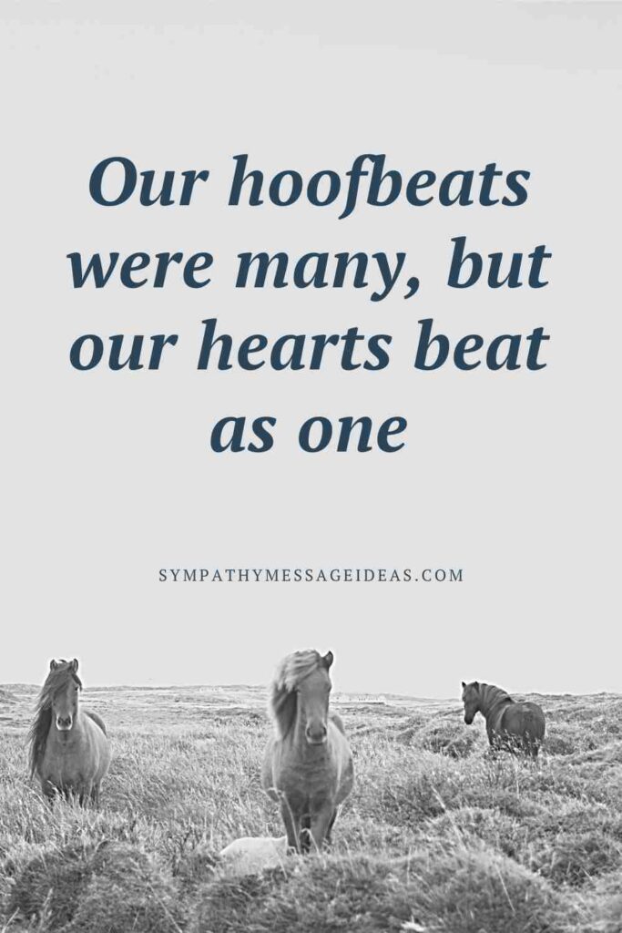39 Moving Loss Of Horse Quotes Sympathy Message Ideas 39-moving-loss-of-horse-quotes-sympathy-message-ideas