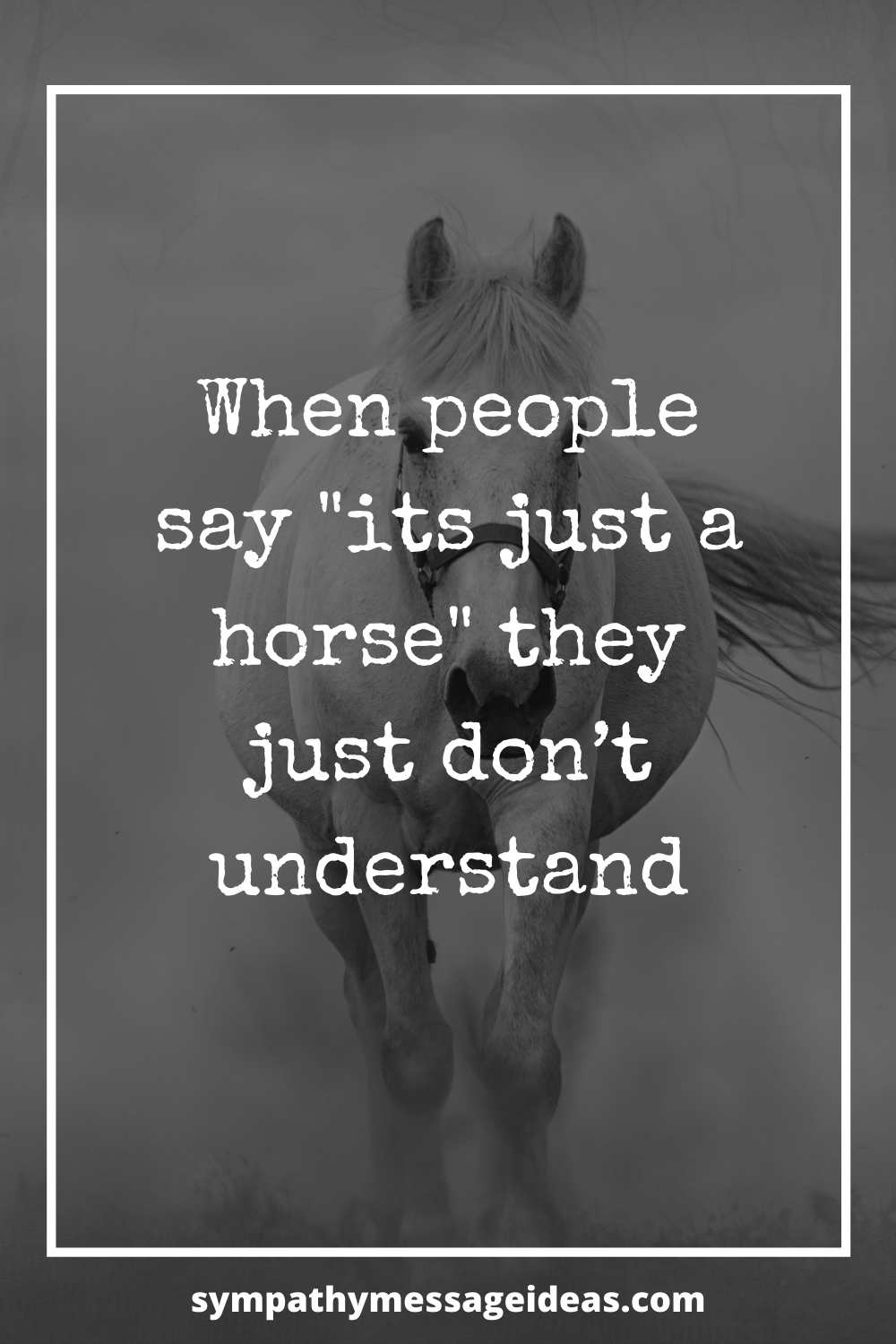 they don't understand loss of horse quote