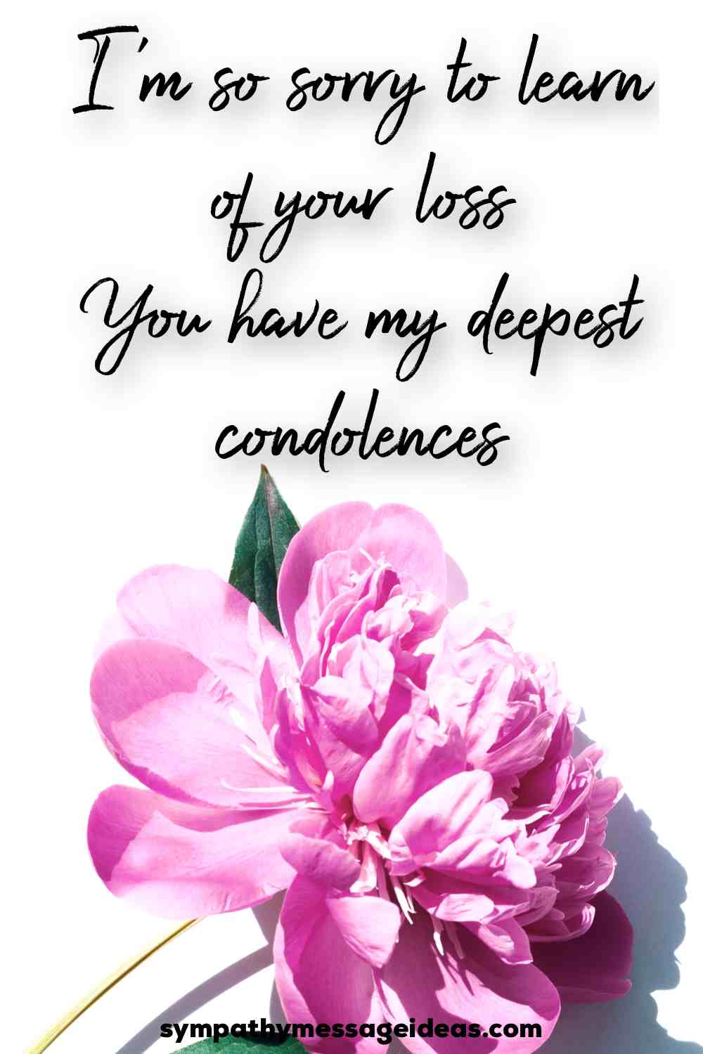 35-heartfelt-sorry-for-your-loss-quotes-with-images-sympathy-message