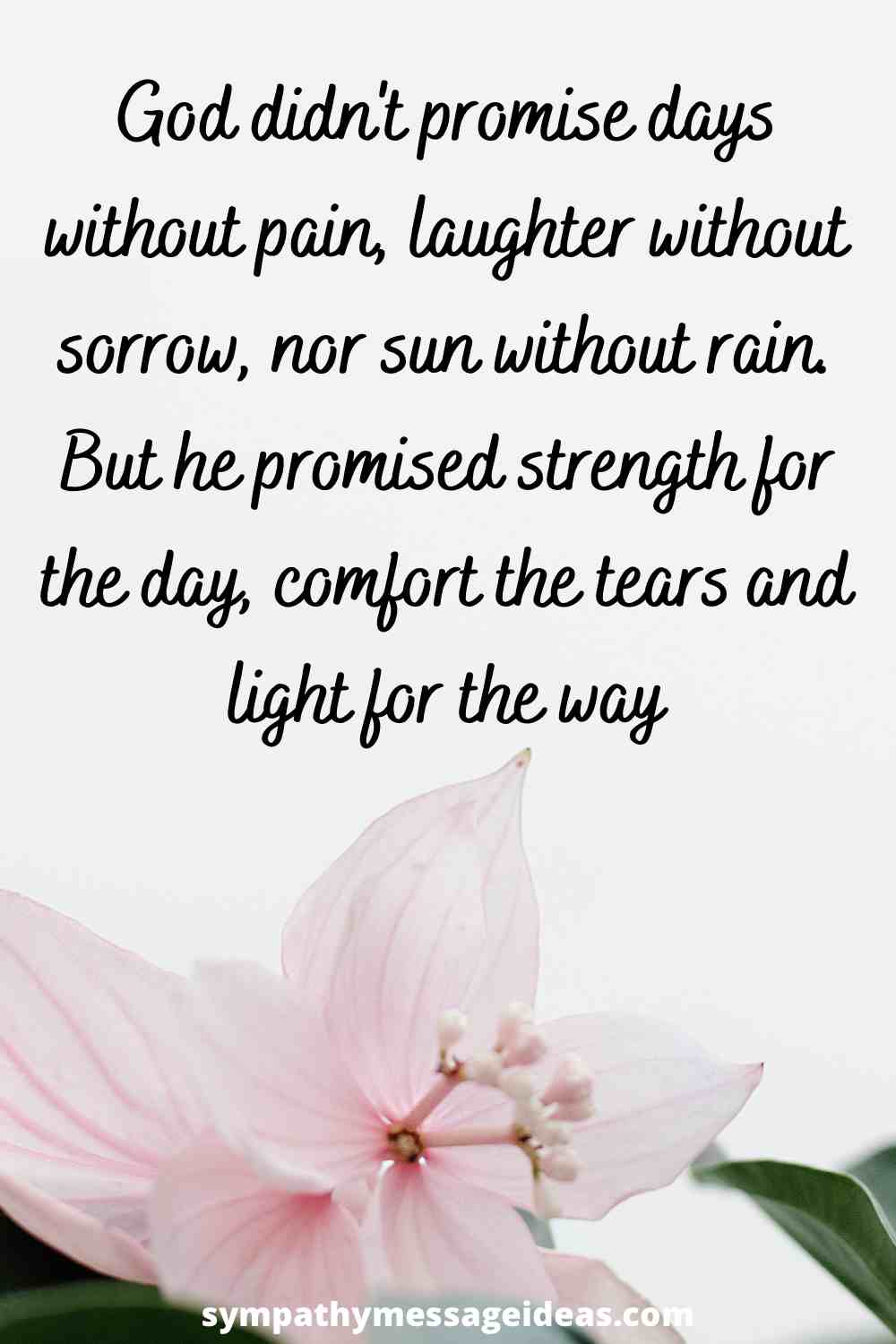 light for the way sympathy quote