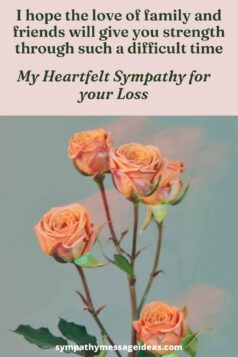 Heartfelt Sympathy For Loss Of Loved One 238x357 