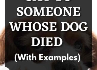 what to say to someone whose dog died