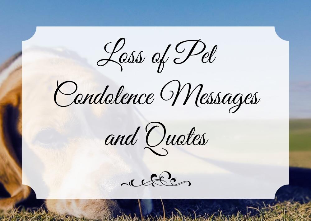 loss of pet condolence messages